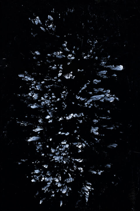 Betipul2025-01-DSC_2934 copie 1