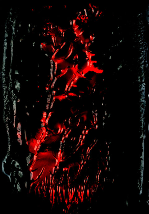 Betipul2025-02-DSC_2931 copie 1