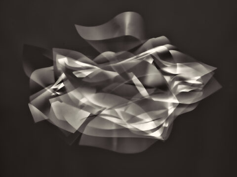 Bruguiere18_DSC3394 copie 1