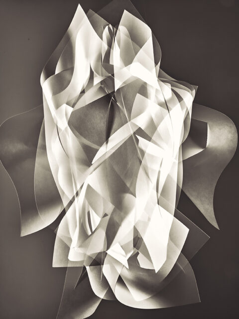 Bruguiere22_DSC3359 copie 1