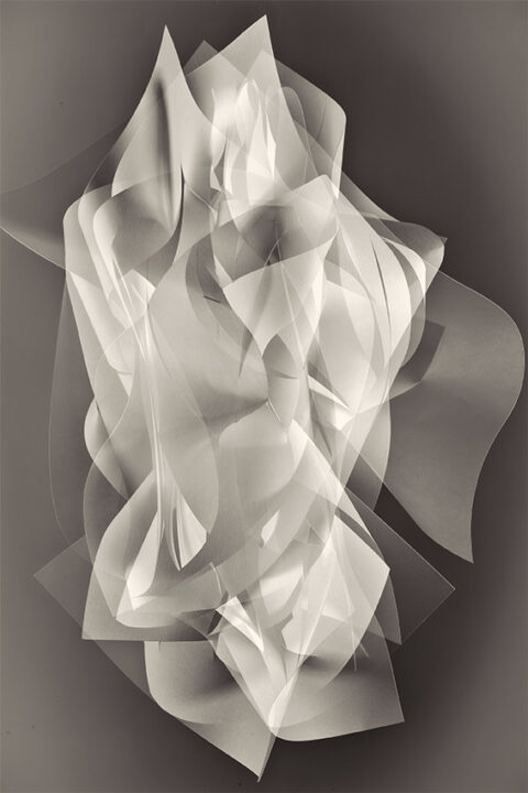 Bruguiere23_DSC3364 copie 1