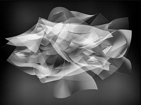 Bruguiere25_DSC3379 copie 1