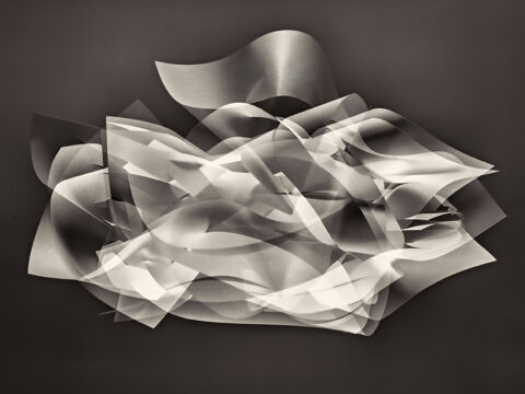 Bruguiere26_DSC3389 copie 1